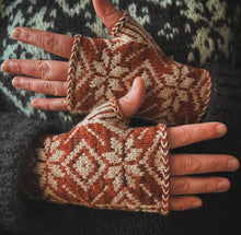 Load image into Gallery viewer, Vemdalsskalet half-mitts kit
